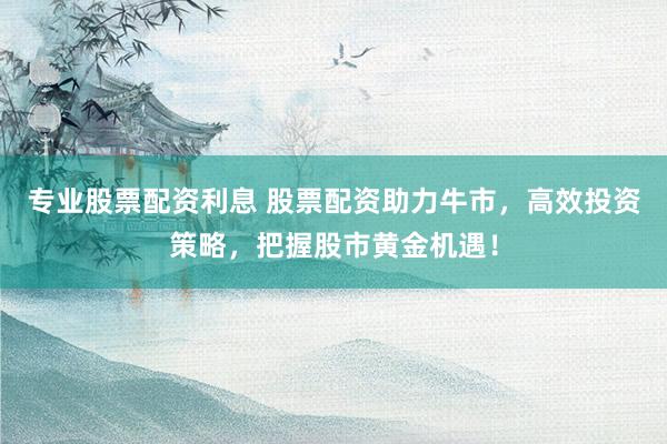 专业股票配资利息 股票配资助力牛市，高效投资策略，把握股市黄金机遇！