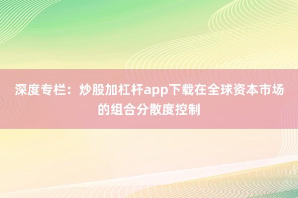 深度专栏：炒股加杠杆app下载在全球资本市场的组合分散度控制
