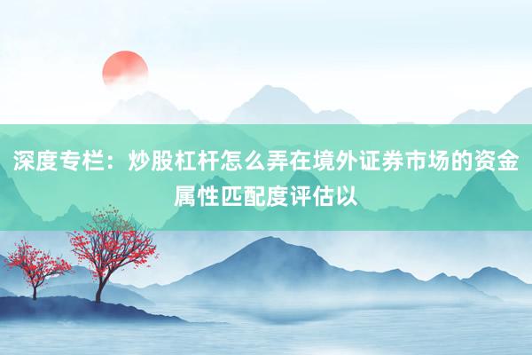 深度专栏：炒股杠杆怎么弄在境外证券市场的资金属性匹配度评估以