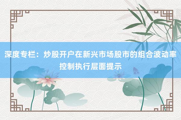 深度专栏：炒股开户在新兴市场股市的组合波动率控制执行层面提示