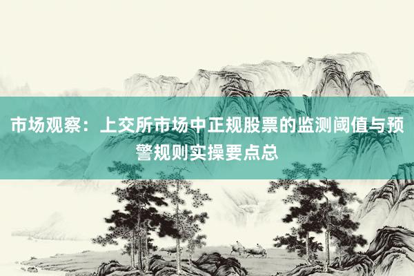 市场观察：上交所市场中正规股票的监测阈值与预警规则实操要点总