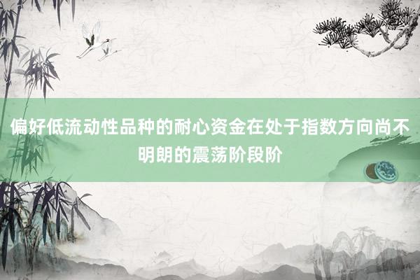 偏好低流动性品种的耐心资金在处于指数方向尚不明朗的震荡阶段阶