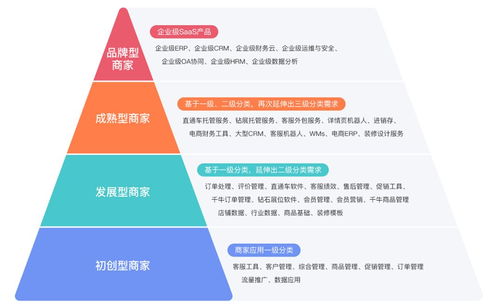 云计算相关 电商saas